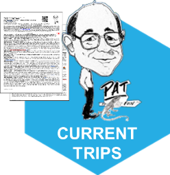 Travel Is Fun Tours